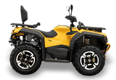 Квадроцикл HISUN GUARDIAN 750S SHORT