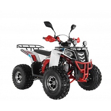 Квадроцикл WELS Thunder EVO 125X ST