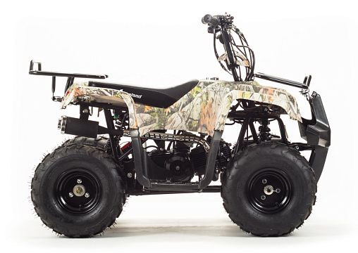 Квадроцикл MOTOLAND Rider 110