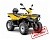 Квадроцикл IRBIS ATV 200 Lux
