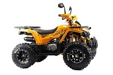 Квадроцикл MOTOLAND Wild X PRO 125