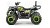 Квадроцикл MOTOLAND Wild Track LUX 200