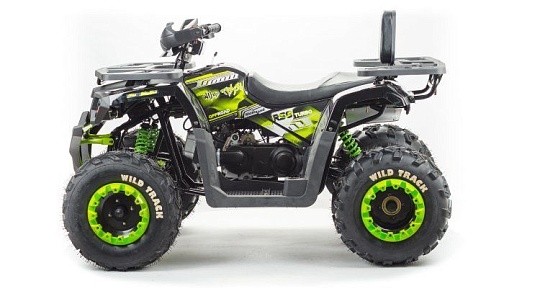 Квадроцикл MOTOLAND Wild Track LUX 200