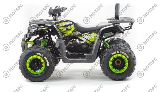 Квадроцикл MOTOLAND Wild Track LUX 200
