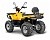 Квадроцикл IRBIS ATV 200 Lux