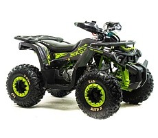 Квадроцикл MOTOLAND Wild X 125