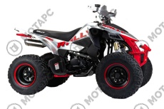 Квадроцикл MOTOLAND Rally 250