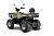 Квадроцикл IRBIS ATV 250 Квадроцикл IRBIS ATV 250