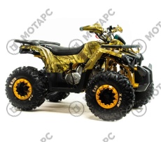 Квадроцикл MOTOLAND Wild X Plus 125