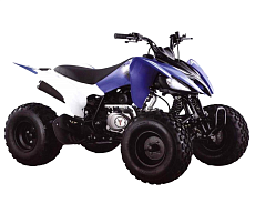 Квадроцикл MOTOLAND 150S