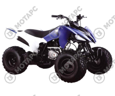 Квадроцикл MOTOLAND 150S