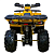 Квадроцикл AVANTIS Hunter 200 Big Lux