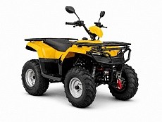 Квадроцикл IRBIS ATV 200 Lux