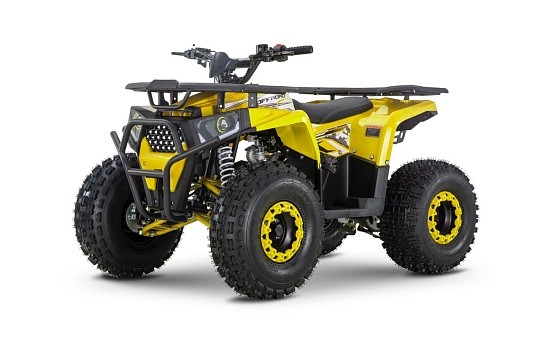 Квадроцикл WELS Thunder Trail 125