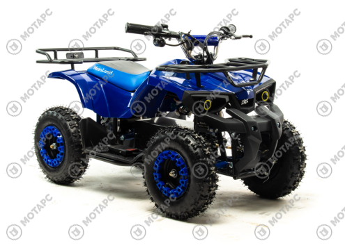 Квадроцикл (игрушка) MOTOLAND E008 800Вт