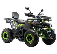 Квадроцикл MOTOLAND Wild Track X WINCH 200