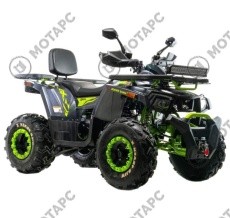 Квадроцикл MOTOLAND Wild Track X WINCH 200
