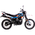 Мотоцикл RACER Panther RC250GY-C2