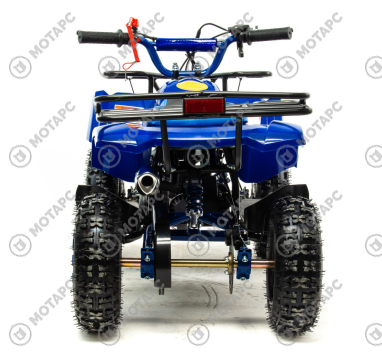 Квадроцикл MOTOLAND Scorpion 50