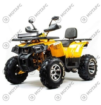 Квадроцикл MOTOLAND Wild Track X PRO 200