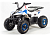 Квадроцикл MOTOLAND Eagle 110