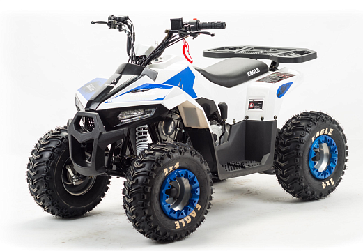 Квадроцикл MOTOLAND Eagle 110