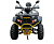 Квадроцикл REGULMOTO Thunder Lux 200