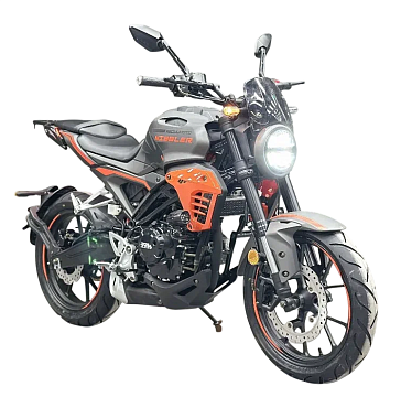 Мотоцикл REGULMOTO Nibbler