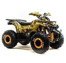 Квадроцикл MOTOLAND Wild X A 125