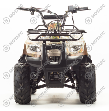Квадроцикл MOTOLAND Rider 110
