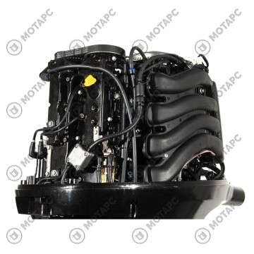 Мотор лодочный PARSUN F115FEL-T-EFI-L