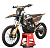 Мотоцикл AVANTIS Enduro 300 PRO EFI Exclusive (NC250/177MM) ARS