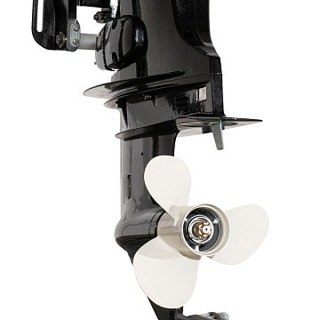 Мотор лодочный PARSUN F115FEL-T-EFI-L