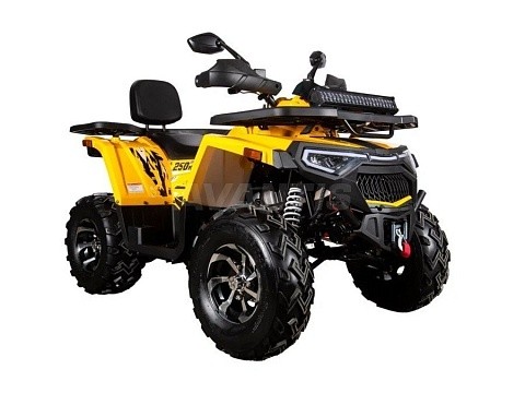 Квадроцикл AVANTIS H250 BIG NEW Premium
