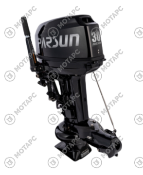 Мотор лодочный PARSUN TP30BM JET