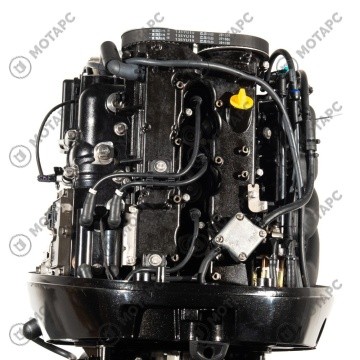 Мотор лодочный PARSUN F100FEL-T-EFI
