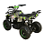 Квадроцикл AVANTIS ATV Classic 800W