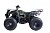 Квадроцикл WELS Thunder 150 Квадроцикл WELS Thunder 150
