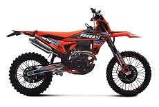Мотоцикл PROGASI Endurance 300X EFI