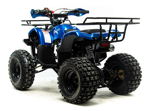 Квадроцикл MOTOLAND Fox 125