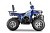 Квадроцикл WELS Thunder Trail 200 PRO Квадроцикл WELS Thunder Trail 200 PRO