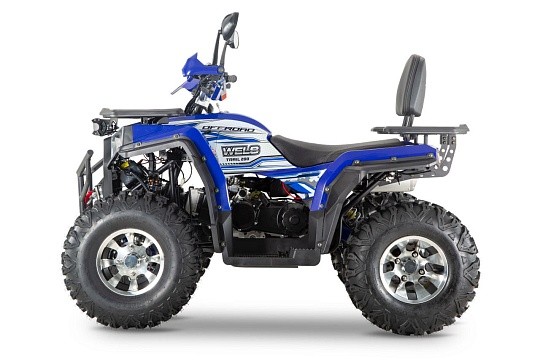 Квадроцикл WELS Thunder Trail 200 PRO