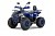 Квадроцикл WELS Thunder Trail 125 PRO Квадроцикл WELS Thunder Trail 125 PRO