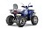 Квадроцикл WELS Thunder Trail 200 PRO Квадроцикл WELS Thunder Trail 200 PRO