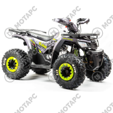 Квадроцикл MOTOLAND Wild Basic A 125