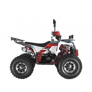 Квадроцикл WELS Thunder EVO 125X ST